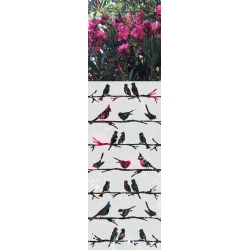 ROZ30 59x135 naklejka na okno wzory zwierzęce - ptaki